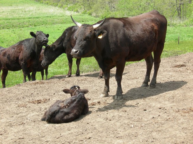 富良野「コテージゆうゆう（悠遊）」さんコメント有難うございました！！